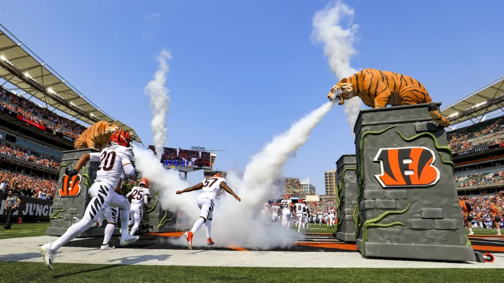 Bengals vs Vikings